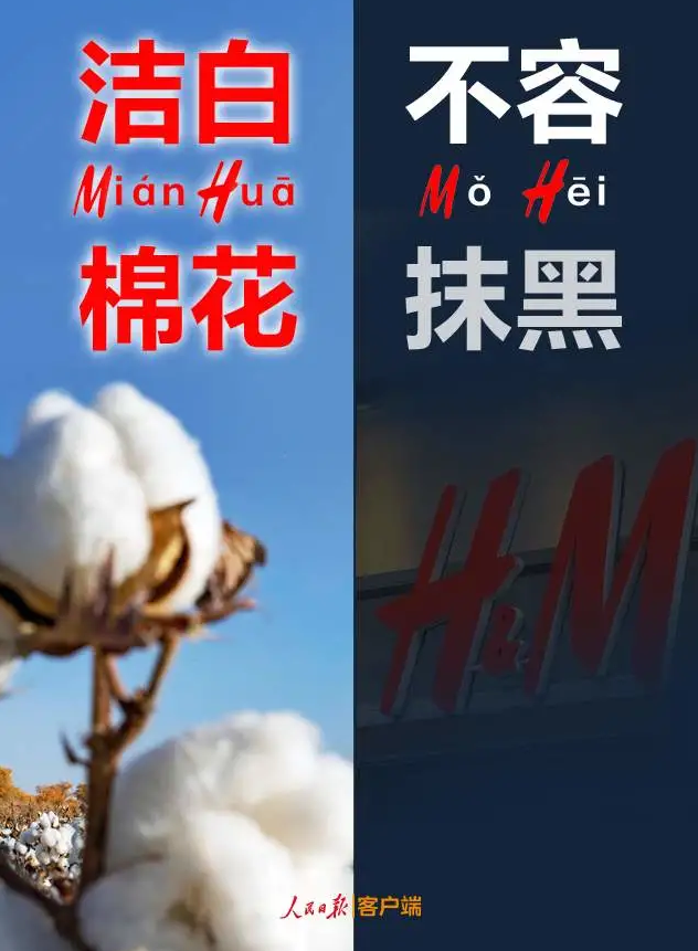 潔白棉花，不容抹黑，花榮華與華一起