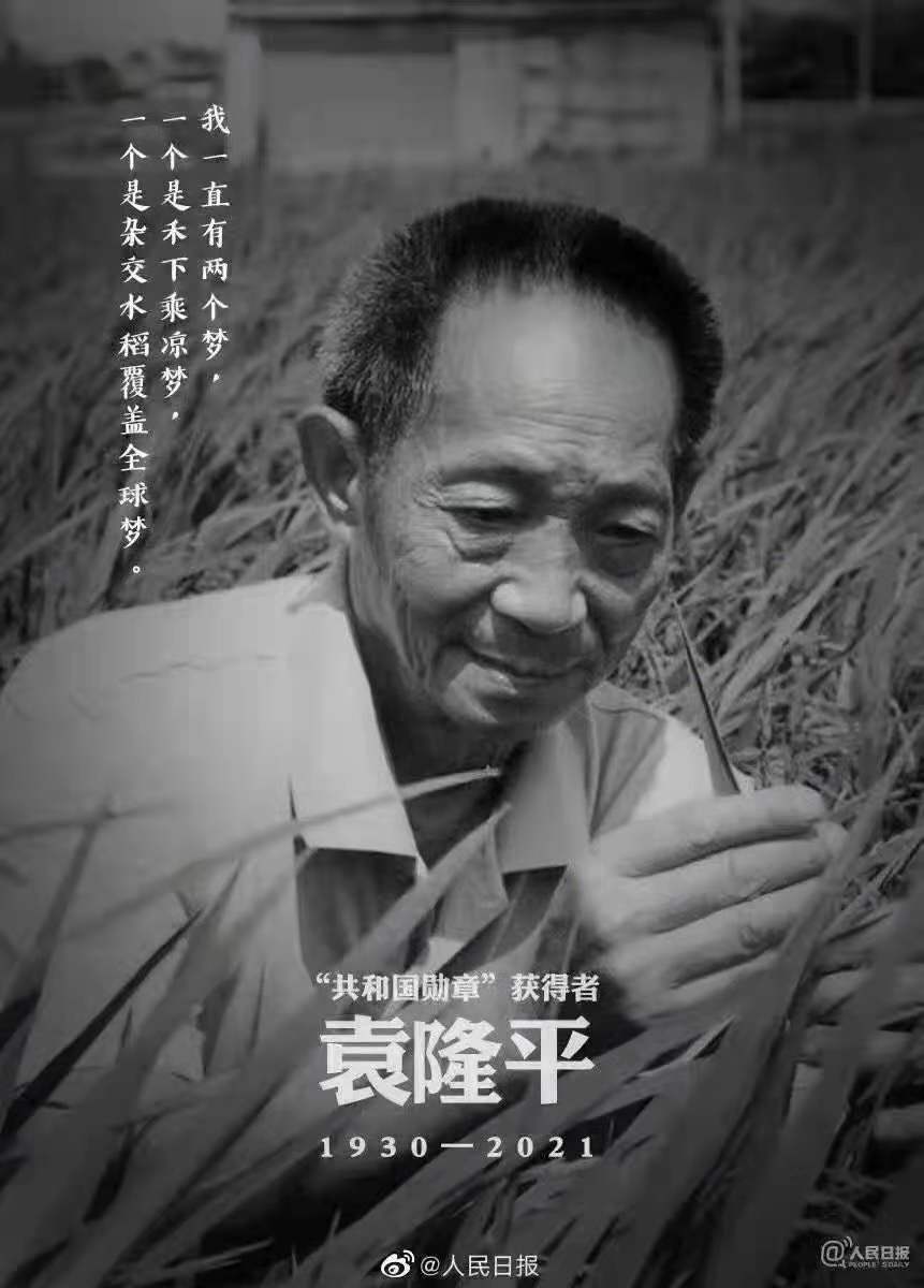 緬懷，國之脊梁——雜交水稻之父