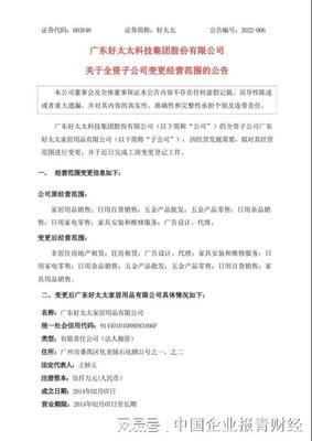 好太太家居業務版圖再擴展 新增非居住房地產租賃與日用雜品銷售